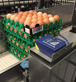 Egg Cargo Identifier