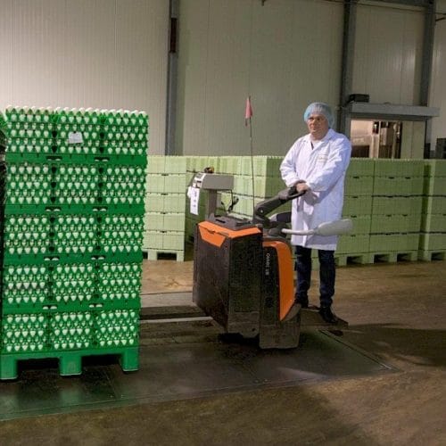 weighing of pallets with eggs