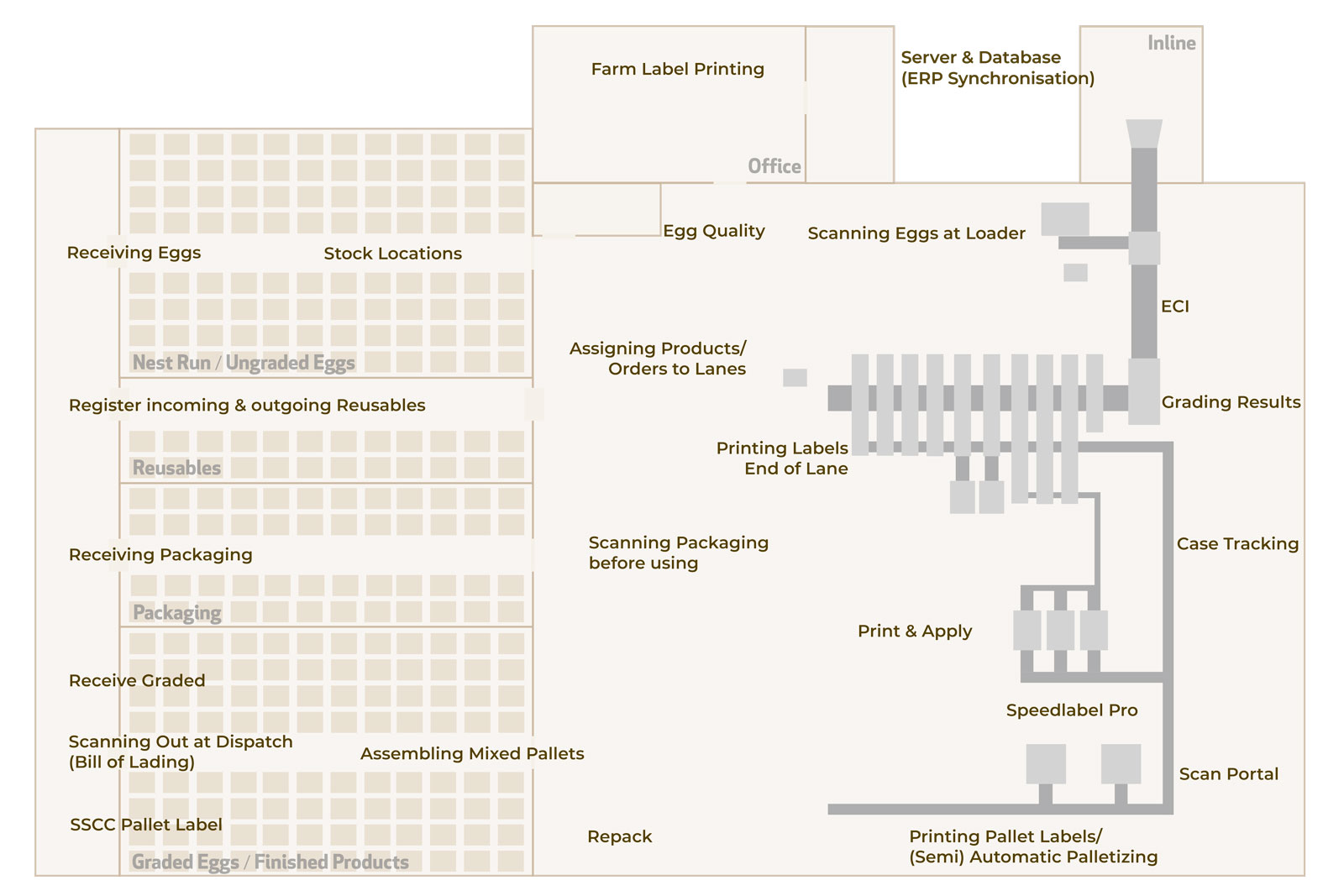 Ovotrack-Egg Grading-Solutions